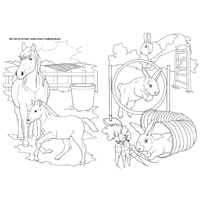 Load image into Gallery viewer, Selecta tactic boerderijdieren kleurboek - 48 pagina's - kleurboek voor kinderen - boerderij - vanaf 2 jaar
