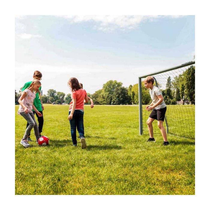 Load image into Gallery viewer, Hudora voetbaldoel expert 300