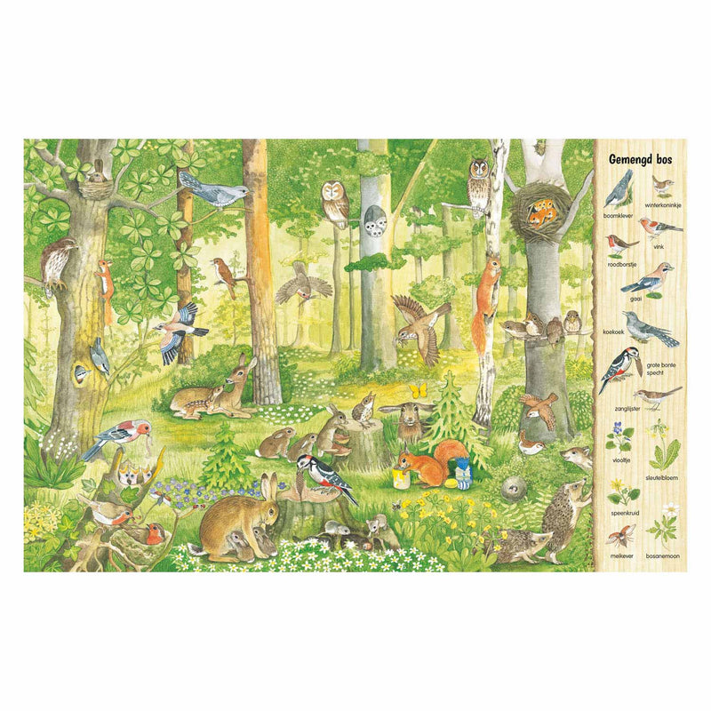 Load image into Gallery viewer, Deltas kijk- en zoekboek - in het bos
