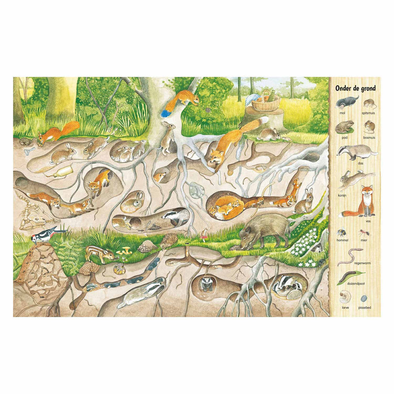Load image into Gallery viewer, Deltas kijk- en zoekboek - in het bos