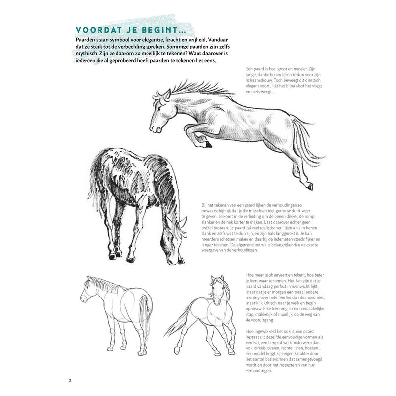 Load image into Gallery viewer, Deltas stap voor stap paarden leren tekenen