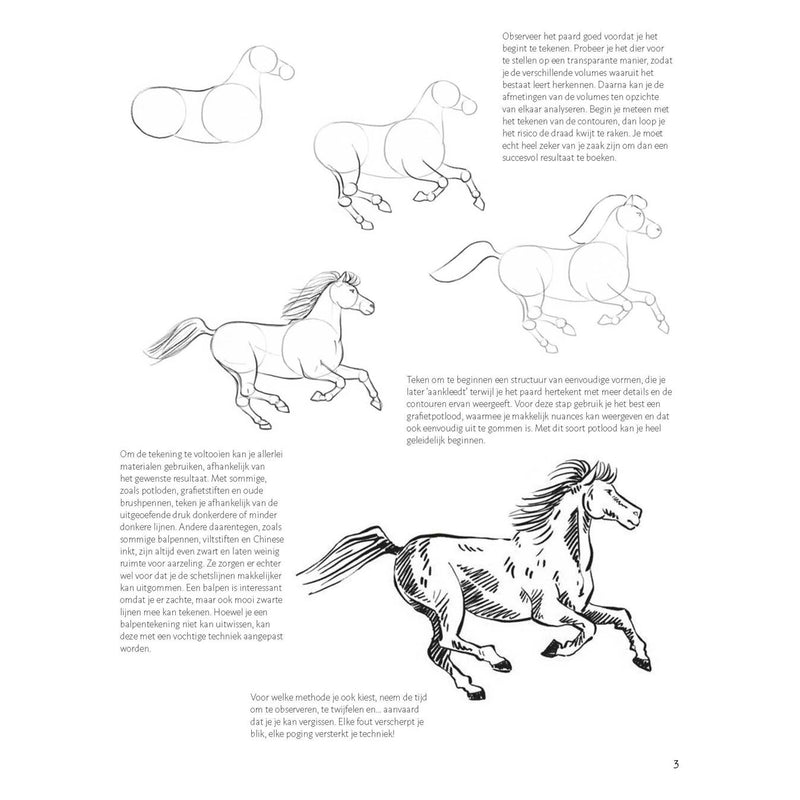 Load image into Gallery viewer, Deltas stap voor stap paarden leren tekenen