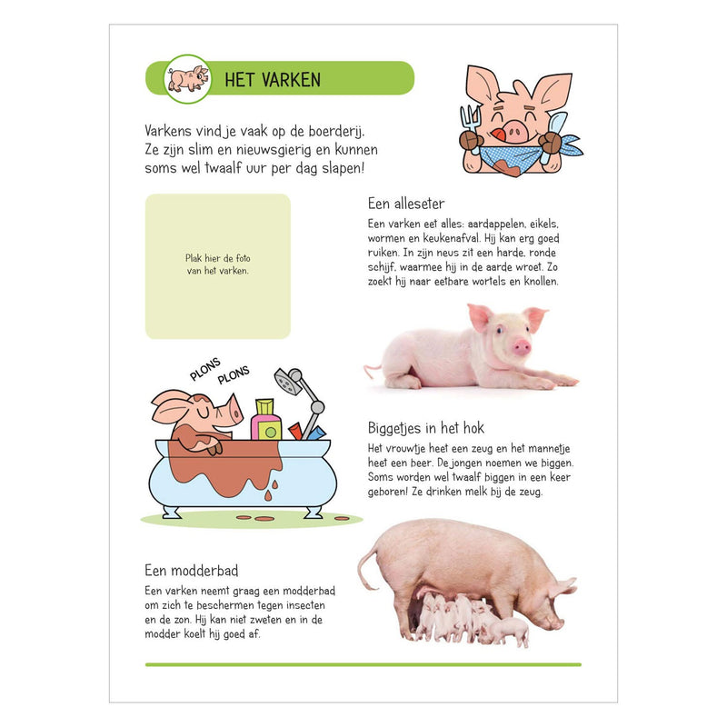 Load image into Gallery viewer, Stickerboek - Dieren op de boerderij