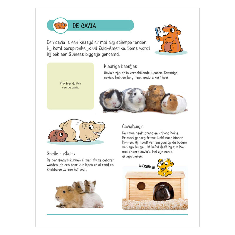 Load image into Gallery viewer, Stickerboek - Dieren in Huis en Tuin