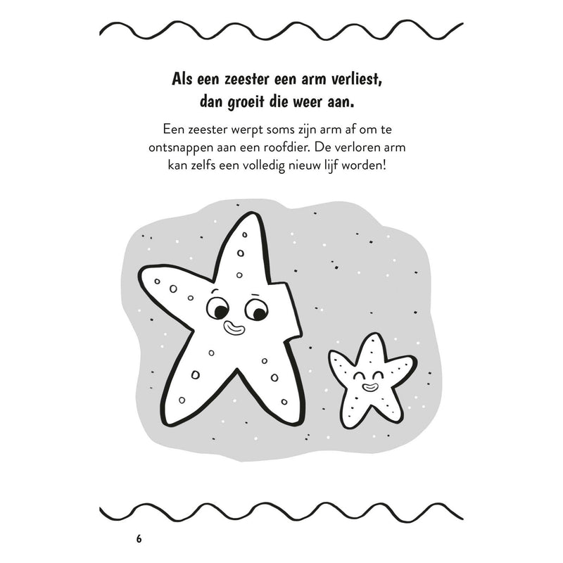 Load image into Gallery viewer, Deltas waanzinnige weetjes voor kinderen van 8 jaar kinderboek