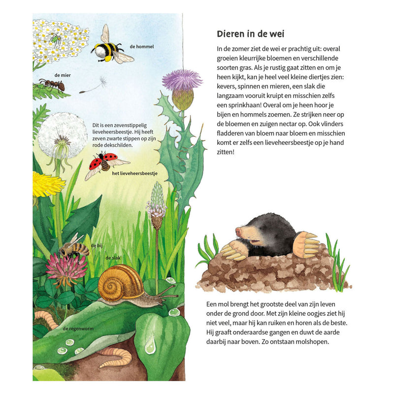 Load image into Gallery viewer, Deltas de dieren om ons heen kartonboek (2-4 j.)