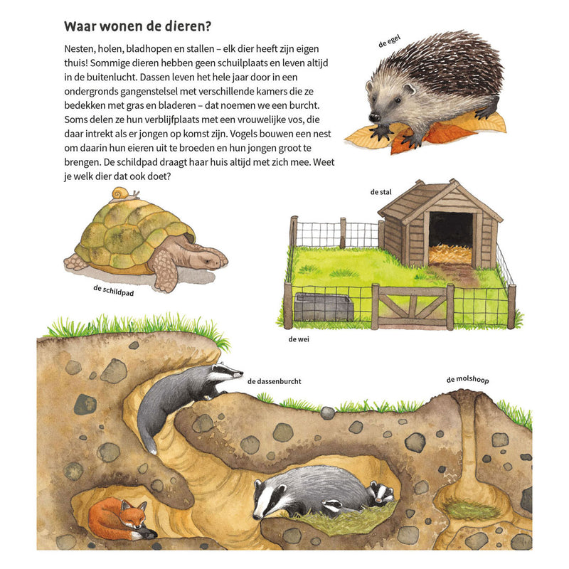 Load image into Gallery viewer, Deltas de dieren om ons heen kartonboek (2-4 j.)