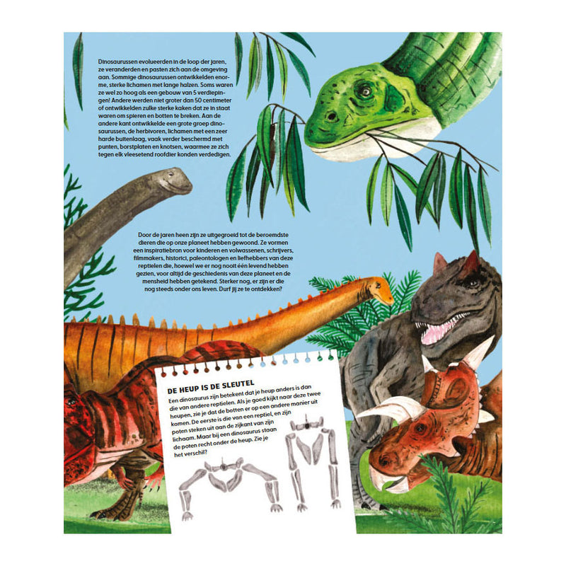 Load image into Gallery viewer, Deltas de wondere wereld van dinosaurussen
