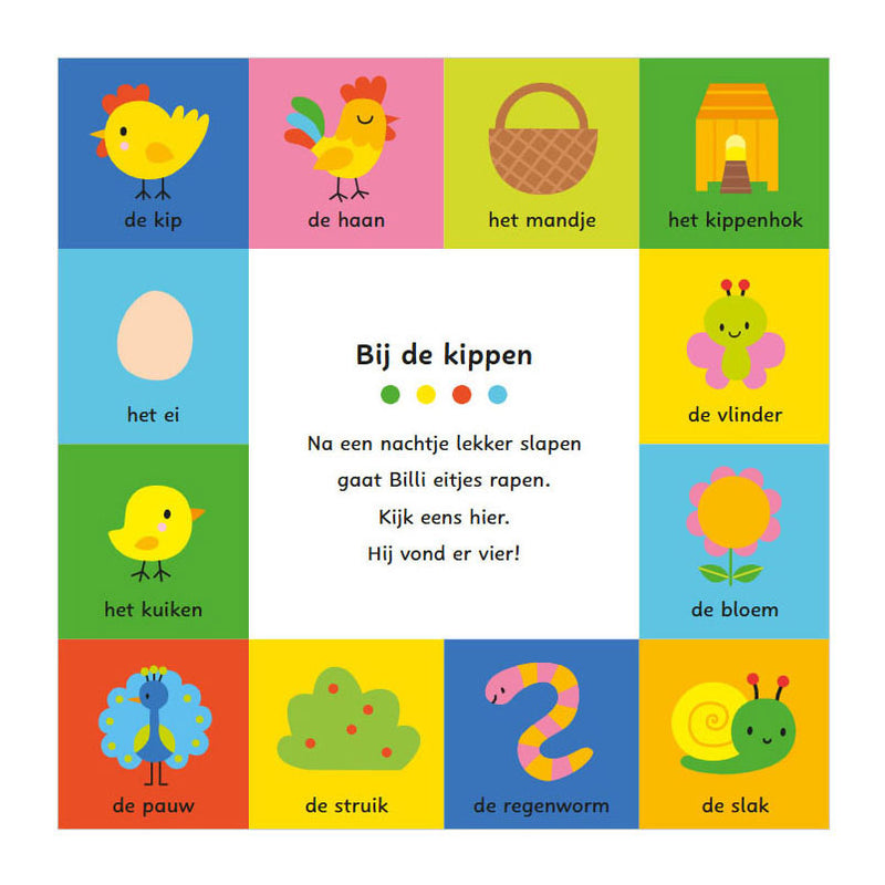 Load image into Gallery viewer, Deltas mijn allereerste woordenboek - spelen en leren met billi kartonboekje
