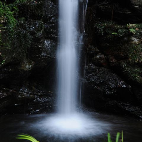 Load image into Gallery viewer, Marumi grijs filter dhg nd8 67 mm