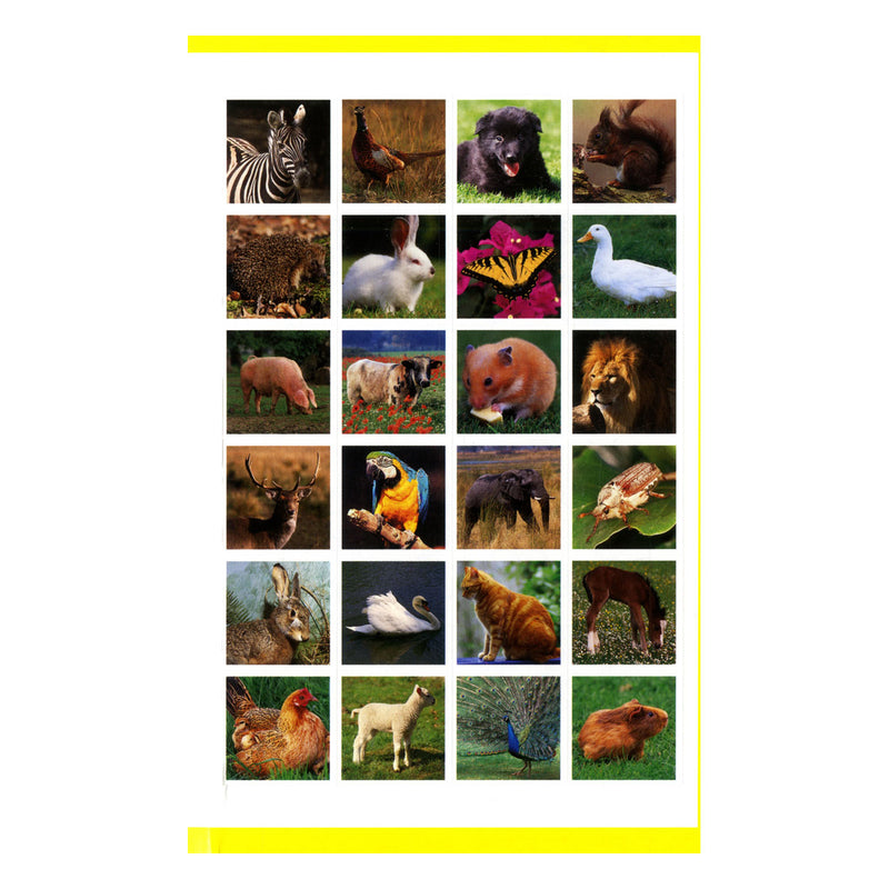 Load image into Gallery viewer, Stickerpret - Ik leer de dieren kennen