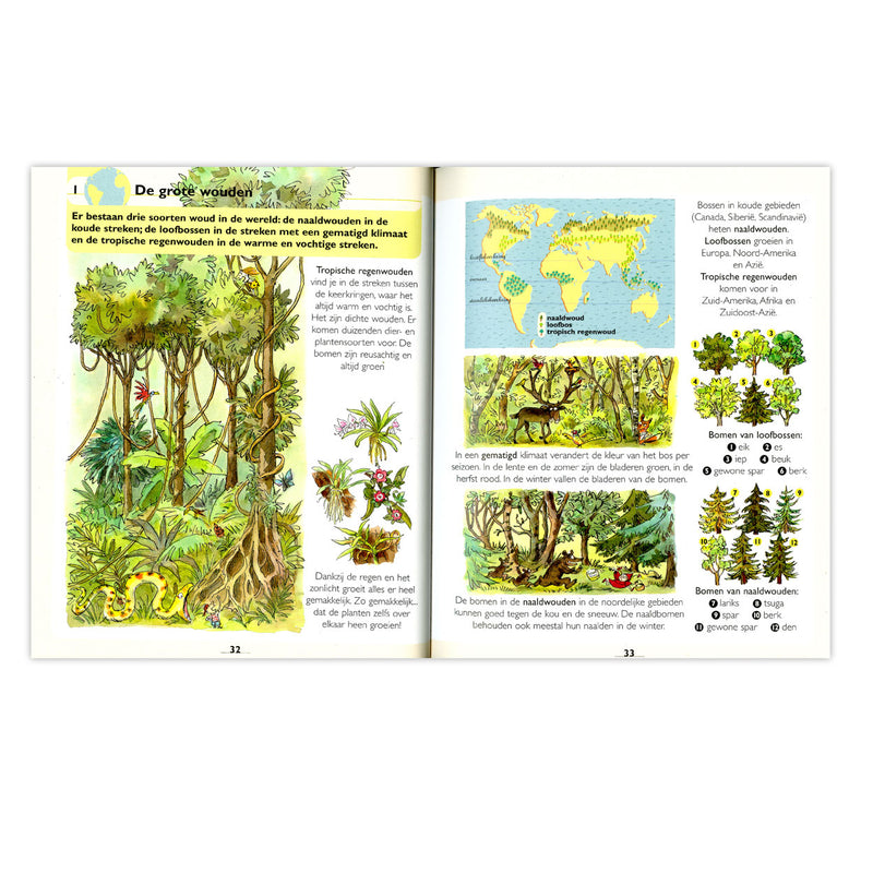 Load image into Gallery viewer, Deltas eerste grote atlas voor kinderen