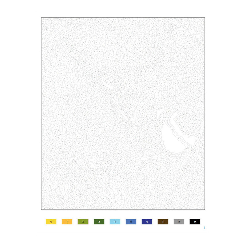 Load image into Gallery viewer, Deltas vogels - kleurplaten op nummer