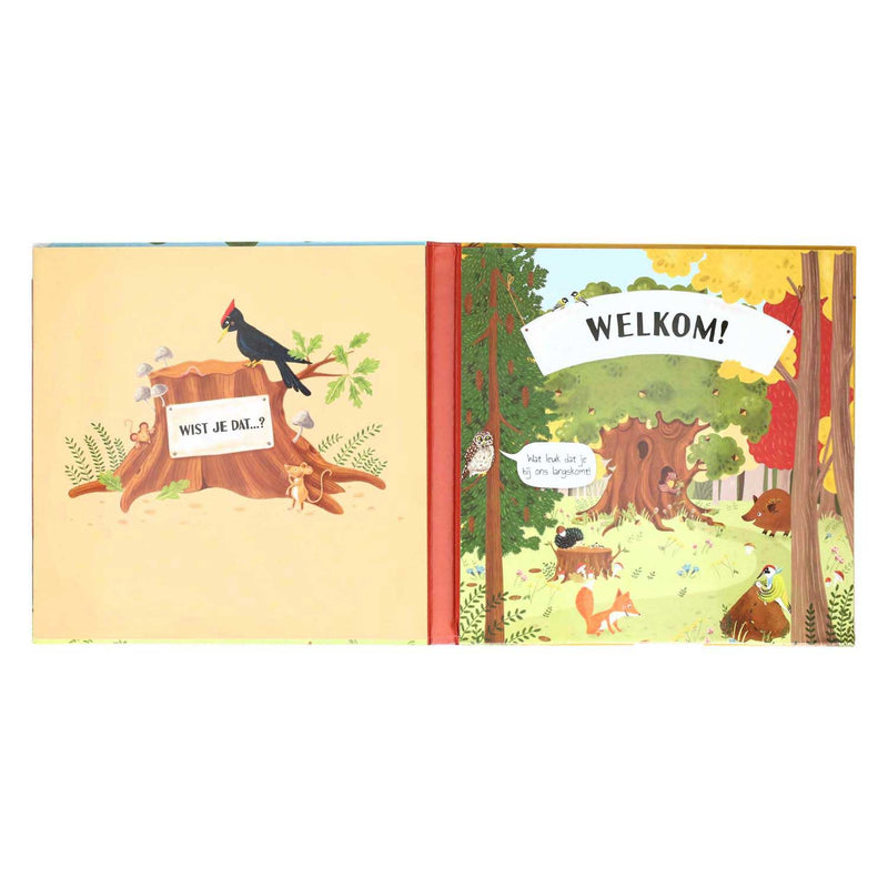 Load image into Gallery viewer, Boek specials nederland bv uitklap- en flapjesboek binnen in de boom