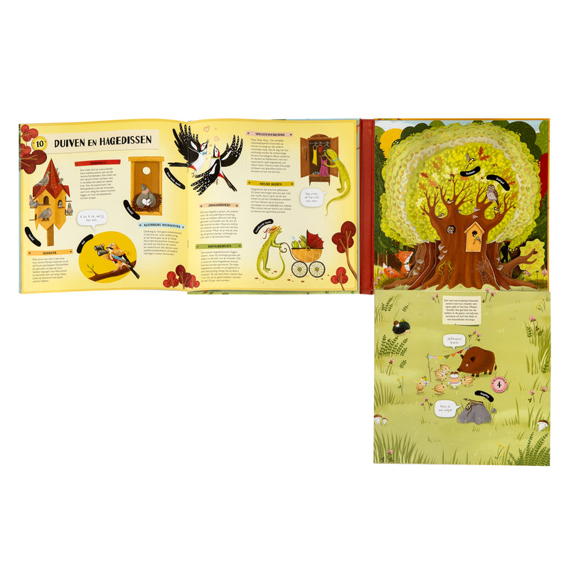 Load image into Gallery viewer, Boek specials nederland bv uitklap- en flapjesboek binnen in de boom