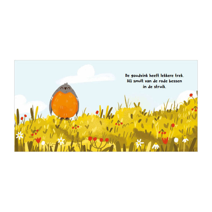 Load image into Gallery viewer, Rebo publishers vogels - wat hoor ik daar? - 6 geluiden