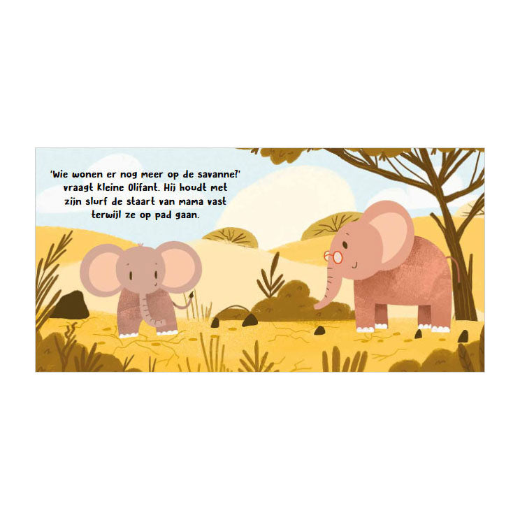 Load image into Gallery viewer, Rebo publishers wilde dieren - wat hoor ik daar? - 6 geluiden