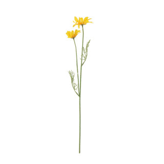 Load image into Gallery viewer, No brand | 4 stuks