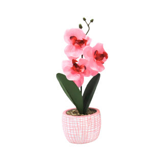 Load image into Gallery viewer, No brand kunst orchidee in pot 28 cm 6 assorti