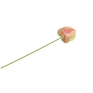 Load image into Gallery viewer, No brand | 6 stuks
