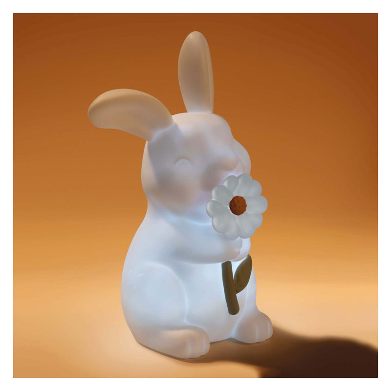 Load image into Gallery viewer, Little dutch nachtlampje konijn