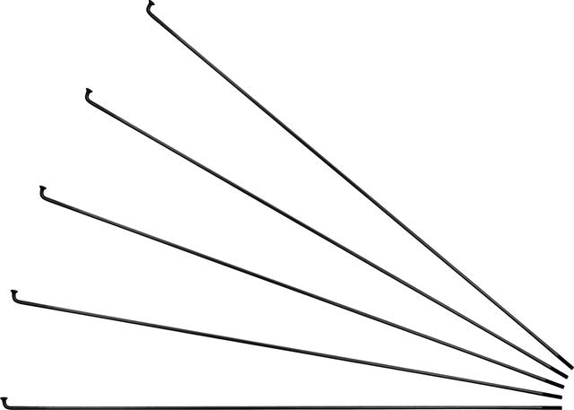 Load image into Gallery viewer, Sapim race j-bend spokes for rohloff + nipples - 5-pack