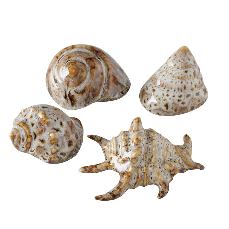 Load image into Gallery viewer, Boltze home decoratieve schelp 7x6x4cm beige bruin 4 assorti