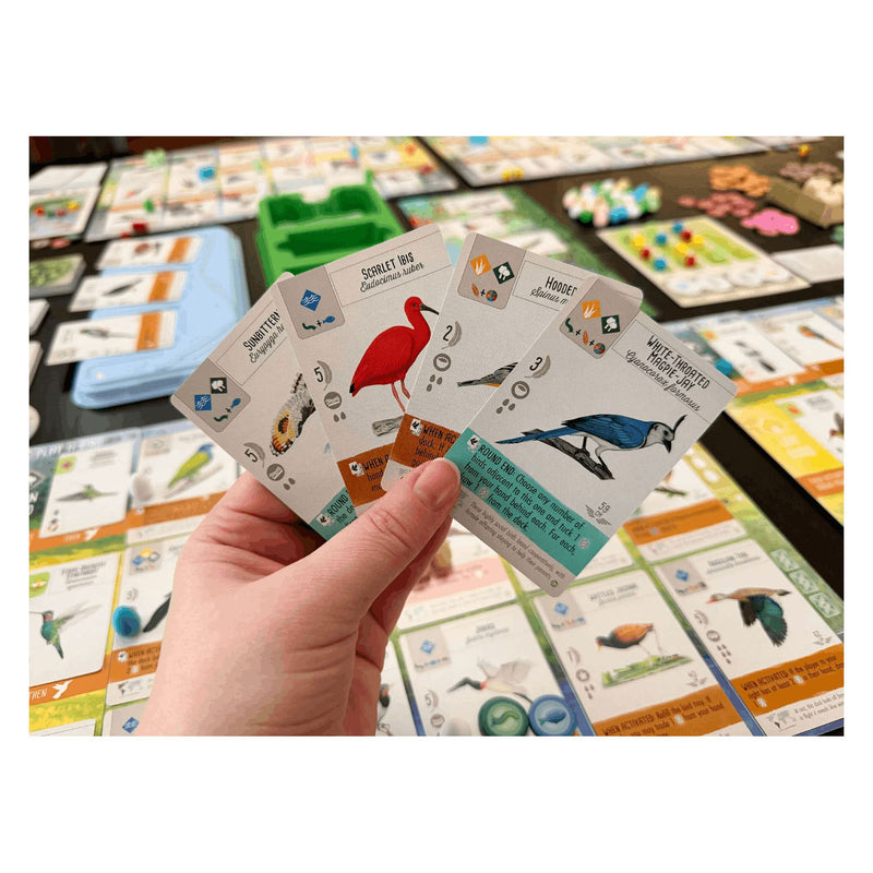 Load image into Gallery viewer, 999games 999 games wingspan: midden- en zuid-amerika bordspel (uitbreiding, nederlands, 1 - 5 spelers, 40 - 70 minuten, vanaf 10 jaar)