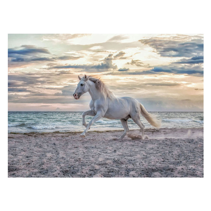 Load image into Gallery viewer, Ravensburger puzzel paard strand - 500 stukjes legpuzzel dieren.