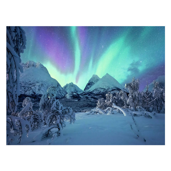 Load image into Gallery viewer, Ravensburger legpuzzel wenn die nordlichter tanzen, 1500st.