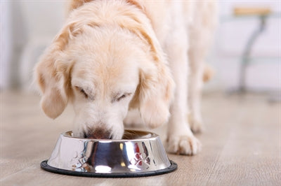 Load image into Gallery viewer, Happy pet voerbak antislip