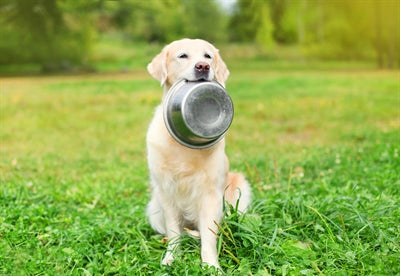 Load image into Gallery viewer, Happy pet voerbak rvs