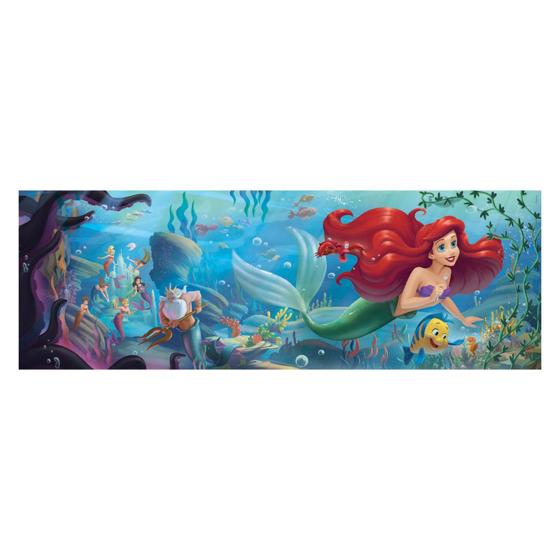 Load image into Gallery viewer, Clementoni Panorama Puzzel Disney Prinses, 1000st.