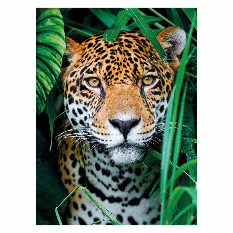 Load image into Gallery viewer, Clementoni puzzel jaguar in de jungle, 500st.