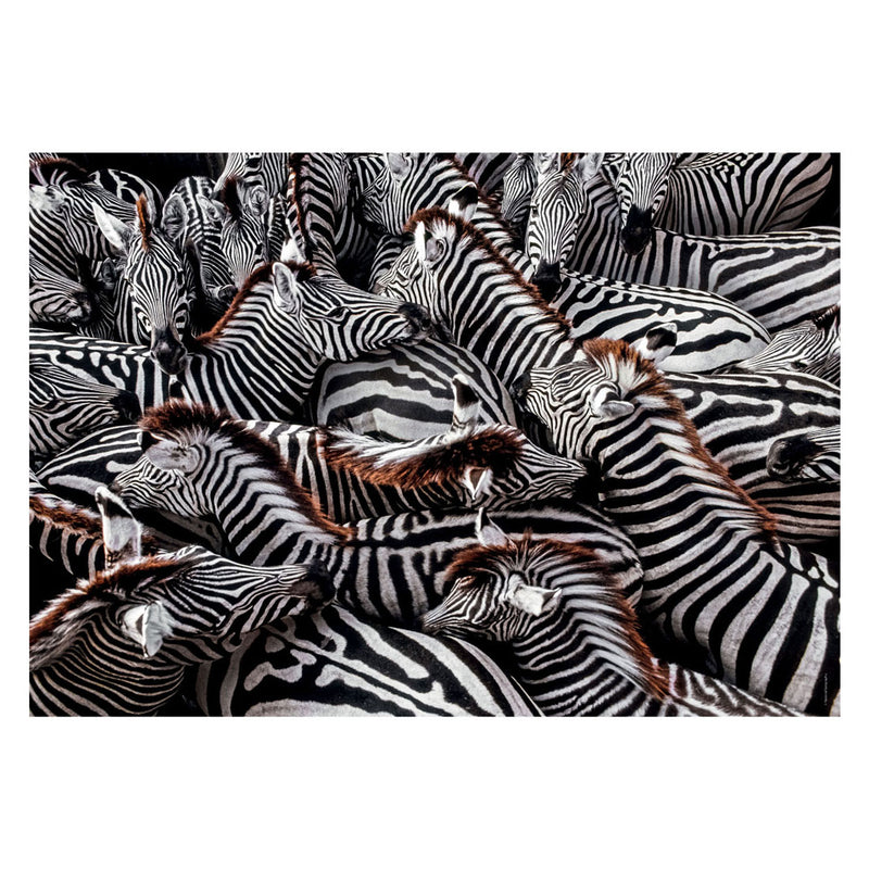 Load image into Gallery viewer, Clementoni Legpuzzel National Geographics - Zebra, 1000st.