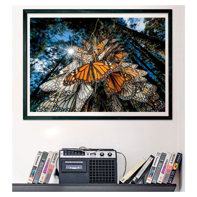 Load image into Gallery viewer, Clementoni Legpuzzel National Geographics - Vlinder, 1000st.