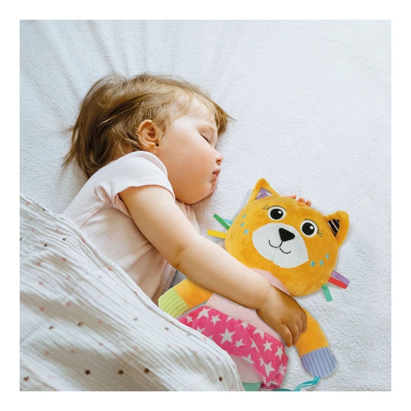 Load image into Gallery viewer, Clementoni baby mijn eerste dierenknuffel - kat