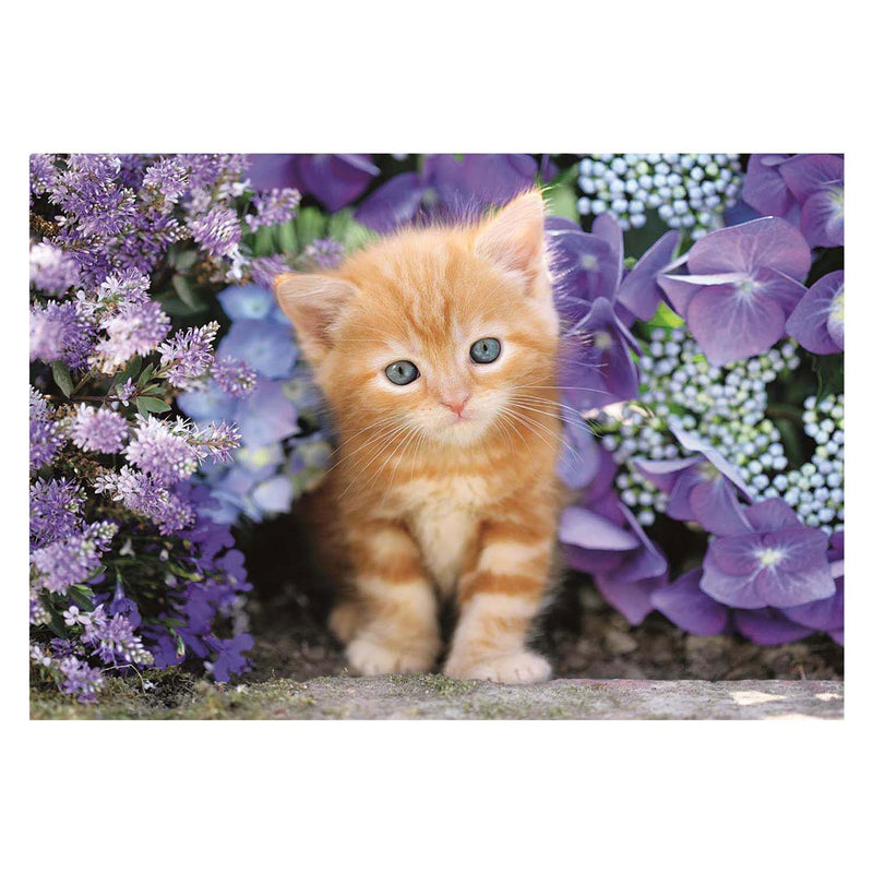 Load image into Gallery viewer, Clementoni clemetoni legpuzzel ginger cat, 500st.