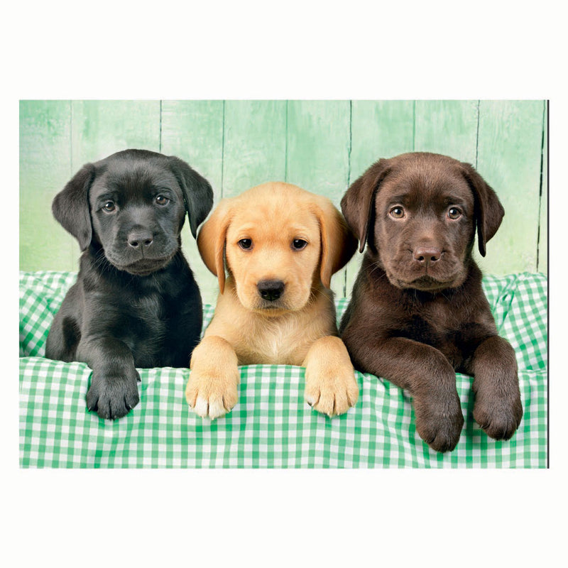 Load image into Gallery viewer, Clementoni puzzel 1000pcs labradors