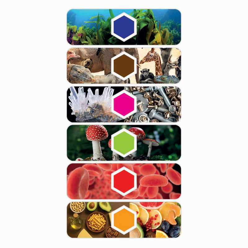 Load image into Gallery viewer, Clementoni wetenschap spel microscoop smart