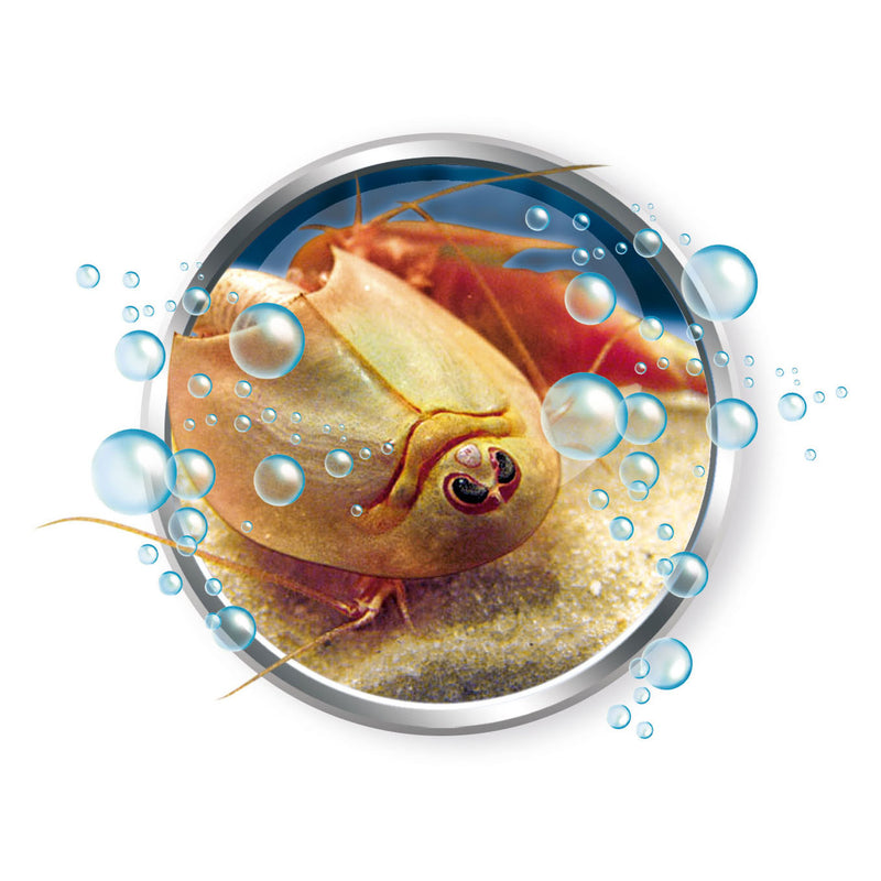 Load image into Gallery viewer, Clementoni wetenschap spel kweek je eigen triops