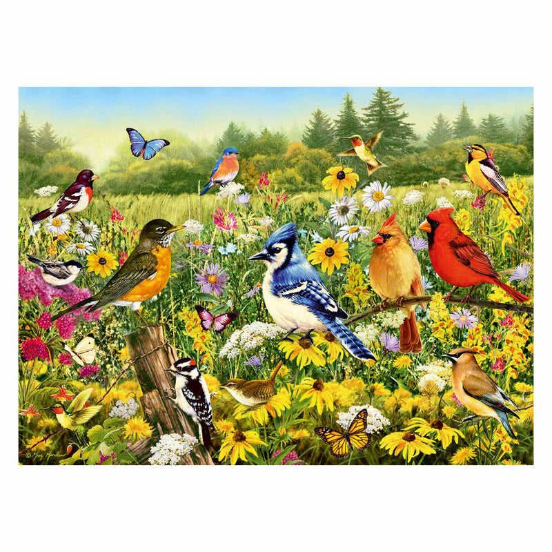 Load image into Gallery viewer, Ravensburger Vogels in de Wei Legpuzzel, 500st.