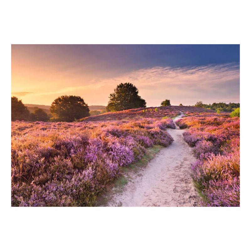Load image into Gallery viewer, Ravensburger – legpuzzel – 1000 stukjes – 70 x 50 cm