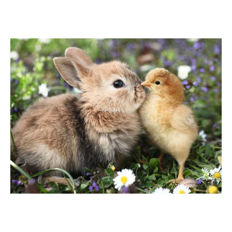 Load image into Gallery viewer, Ravensburger puzzel rabbit chick 500st