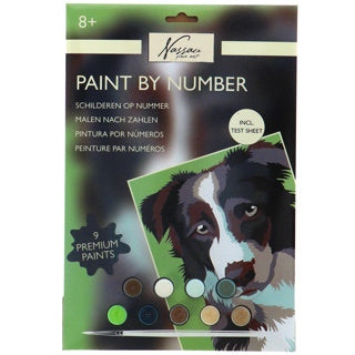 Load image into Gallery viewer, Nassau schilderen op nummer hond | 3 stuks