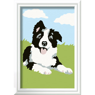 Load image into Gallery viewer, Ravensburger creart schilderen op nummer border collie | 3 stuks