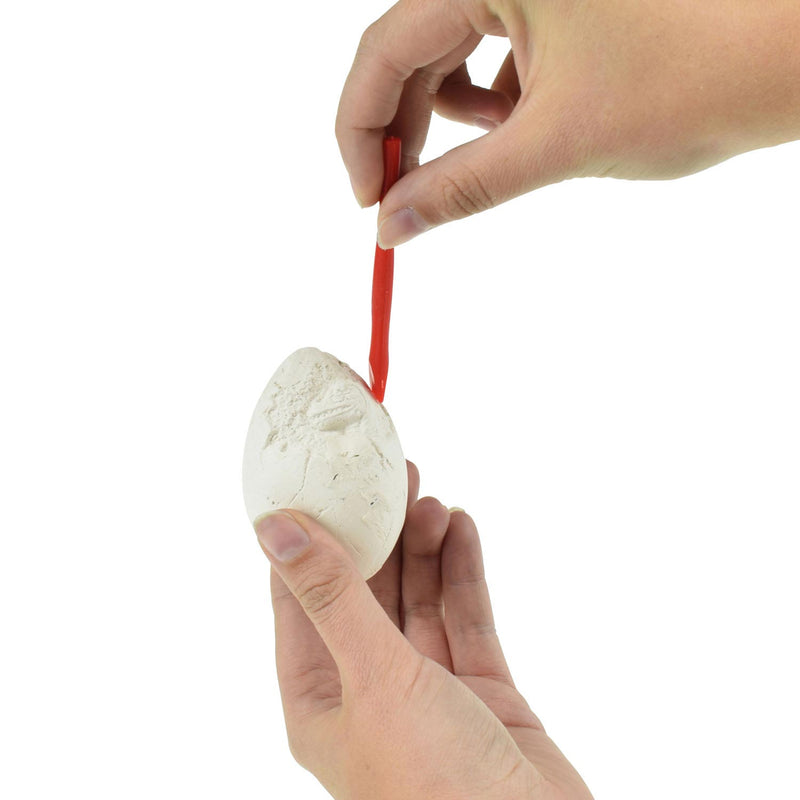 Load image into Gallery viewer, World of Dinosaurs Uitgraafset Dino Ei