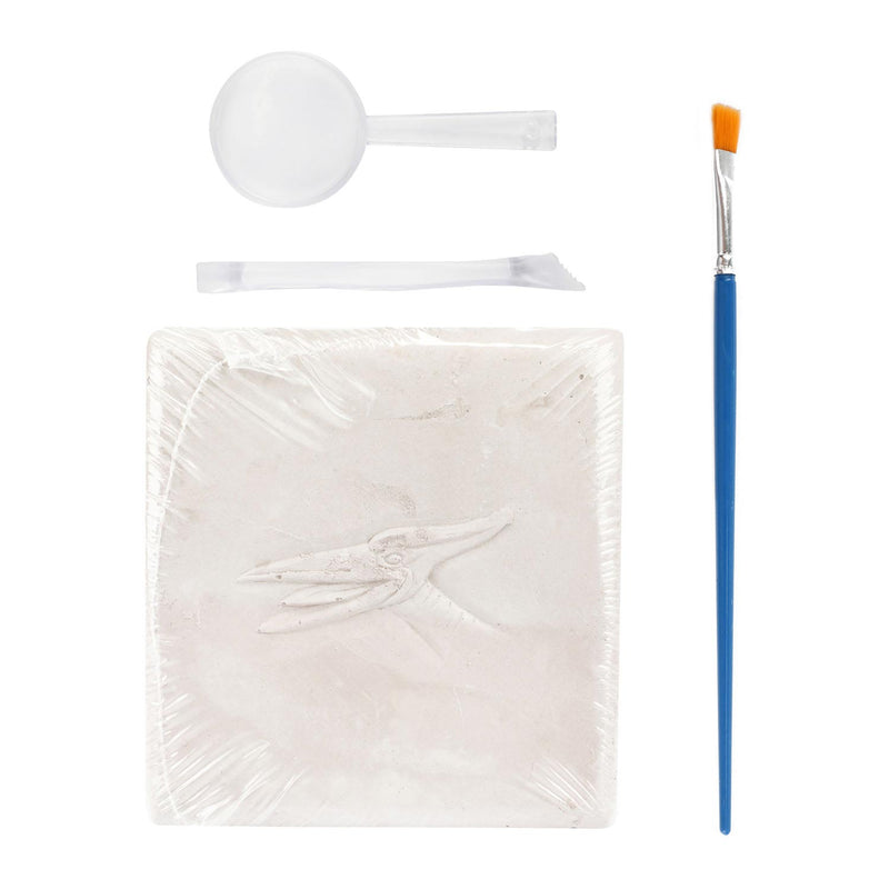 Load image into Gallery viewer, World of dinosaurs uitgraafset 'dino fossiel'