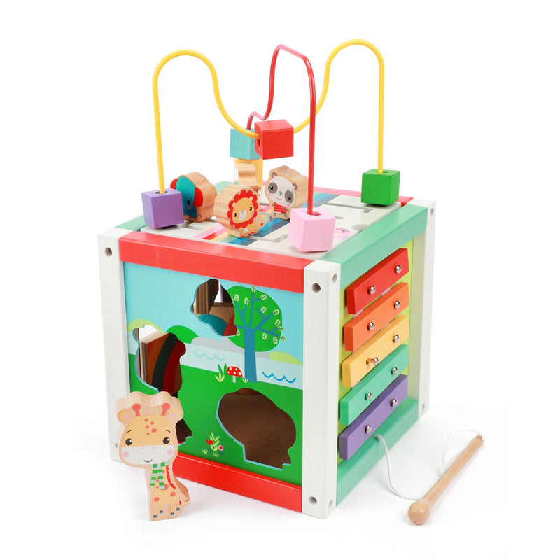 Load image into Gallery viewer, Fisher Price Activiteiten Kubus Hout