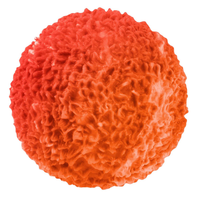Afbeelding laden in galerijviewer, Toi-toys fun textuurknijpbal moss gevuld met foam, 8cm